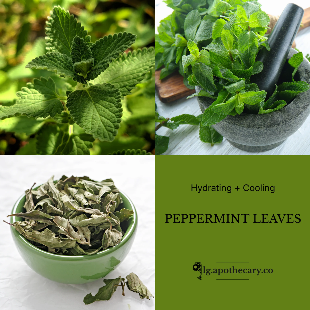 Botanical collage for LG Apothecary Co showing fresh green peppermint leaves, a mortar and pestle, and dried leaves to signify cooling ingredients.